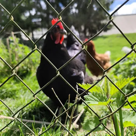 דירה Huettenwiesenhof Ketterer *