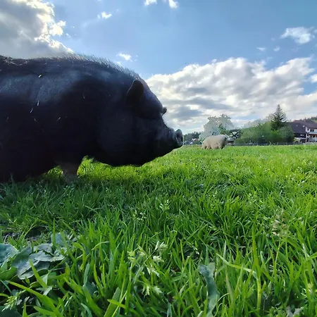 Huettenwiesenhof Ketterer *